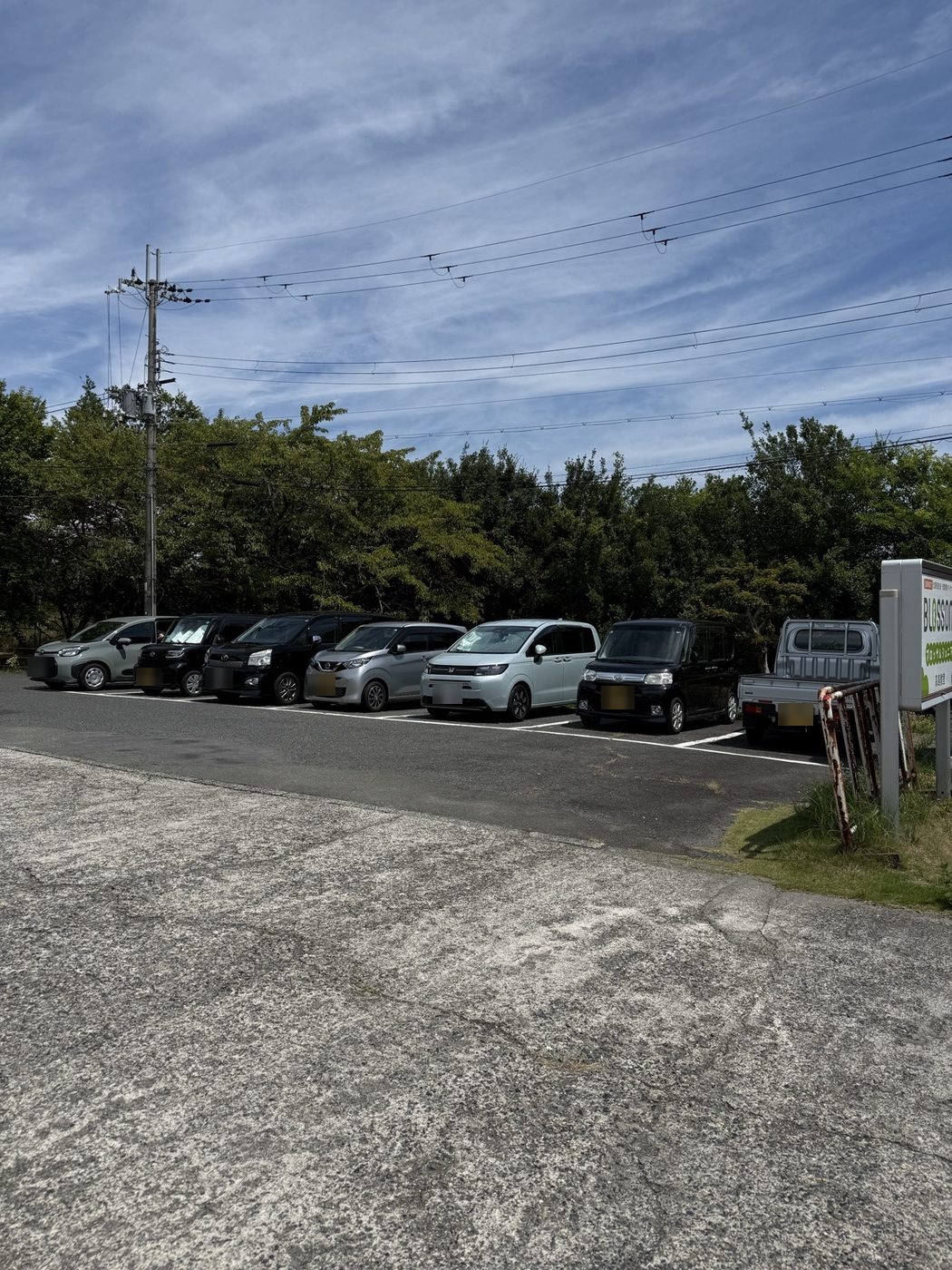 お店の駐車場に停まった車