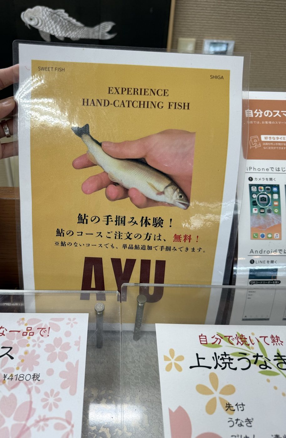鮎の手掴み体験は鮎のコースご注文の方は無料と書かれた店内のポスター