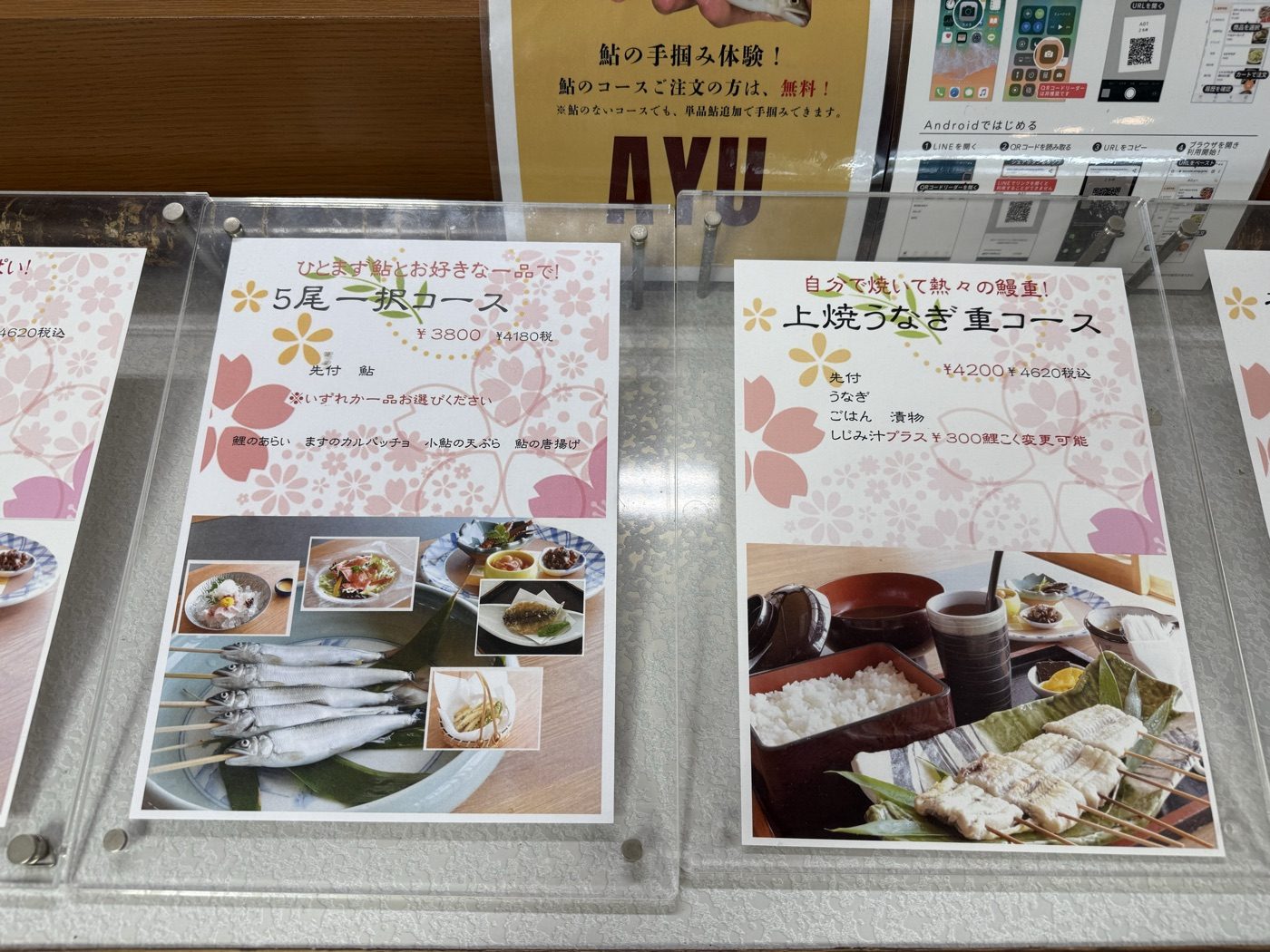 5尾一択コースと上焼うなぎ重コースのメニュー